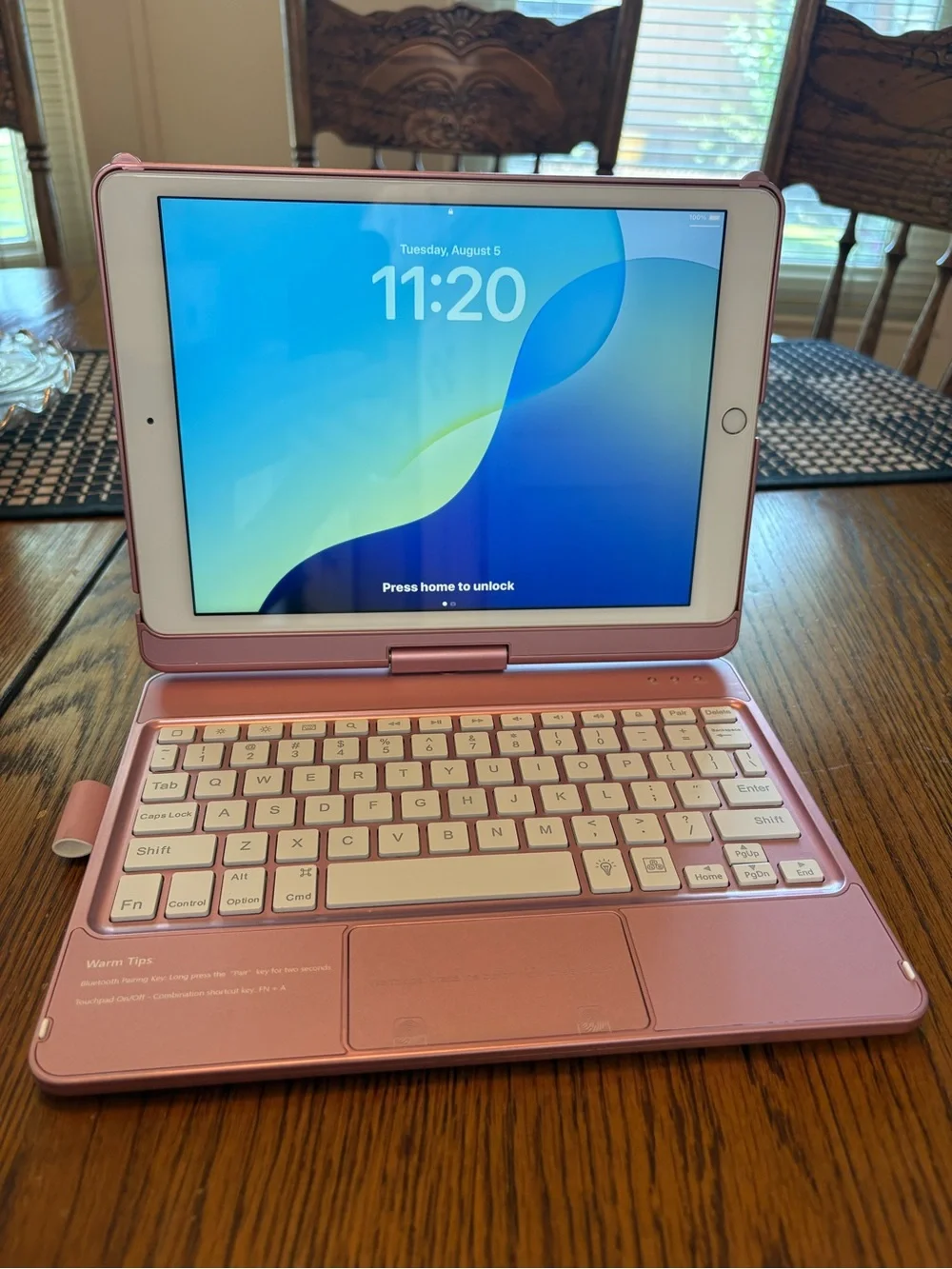Apple this ipad